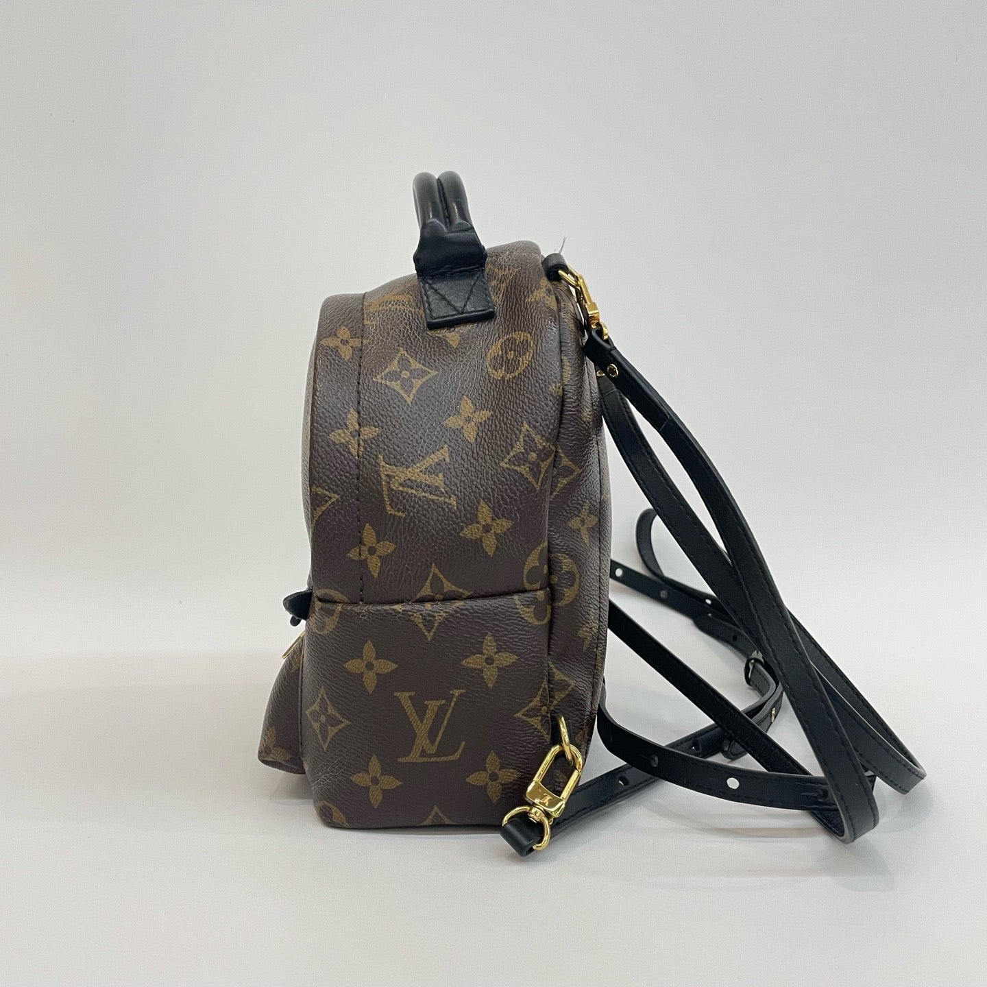 LV Mini Spring Backpack