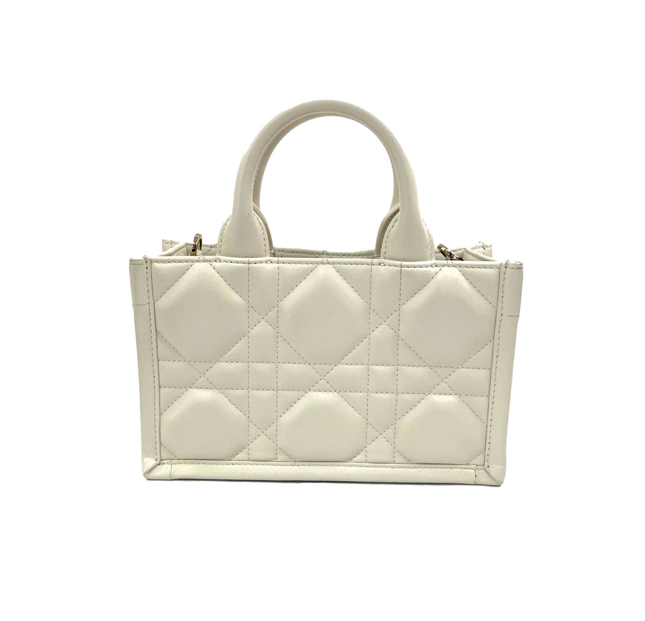 Christian Dior Book Tote Mini