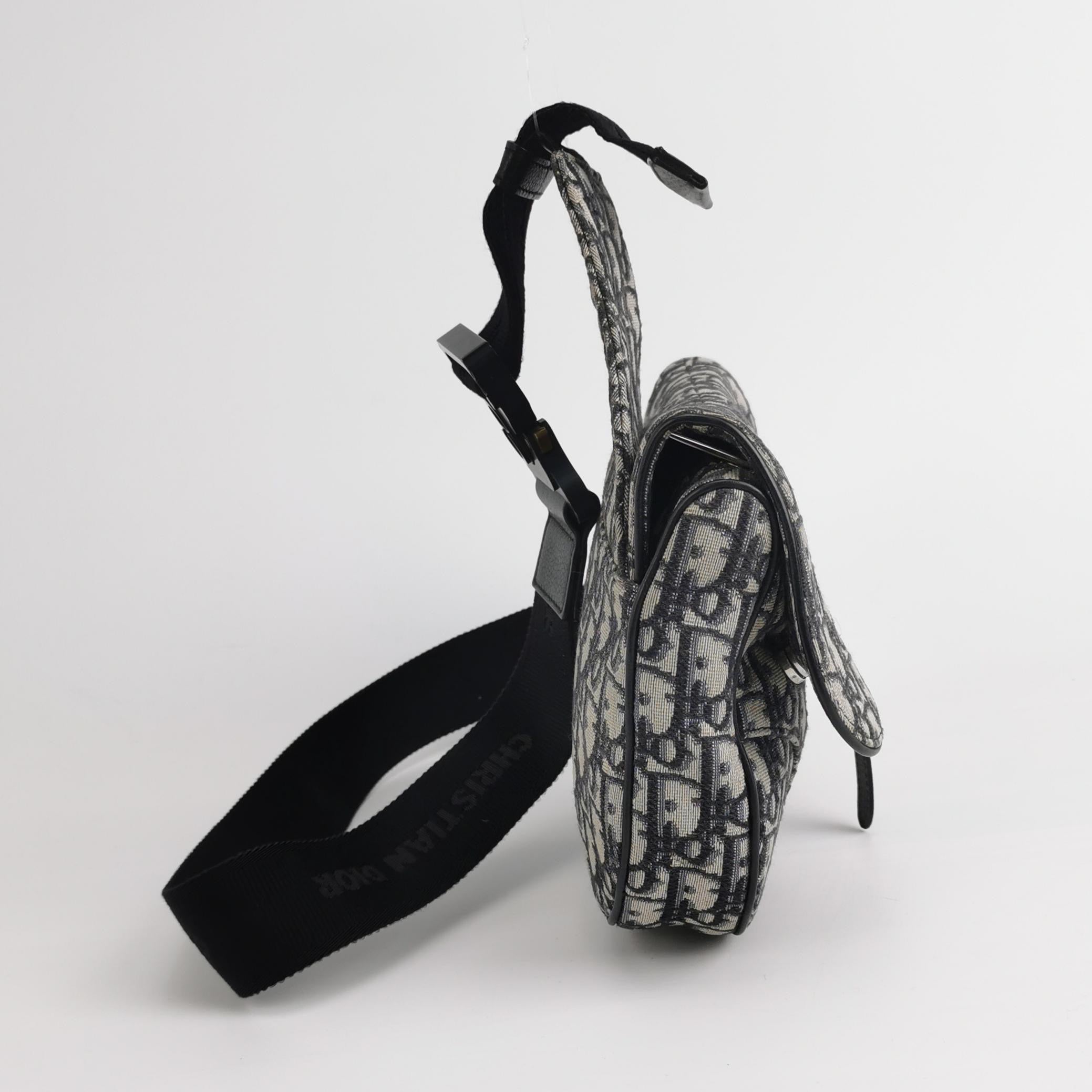 Christian Dior Men's Saddle