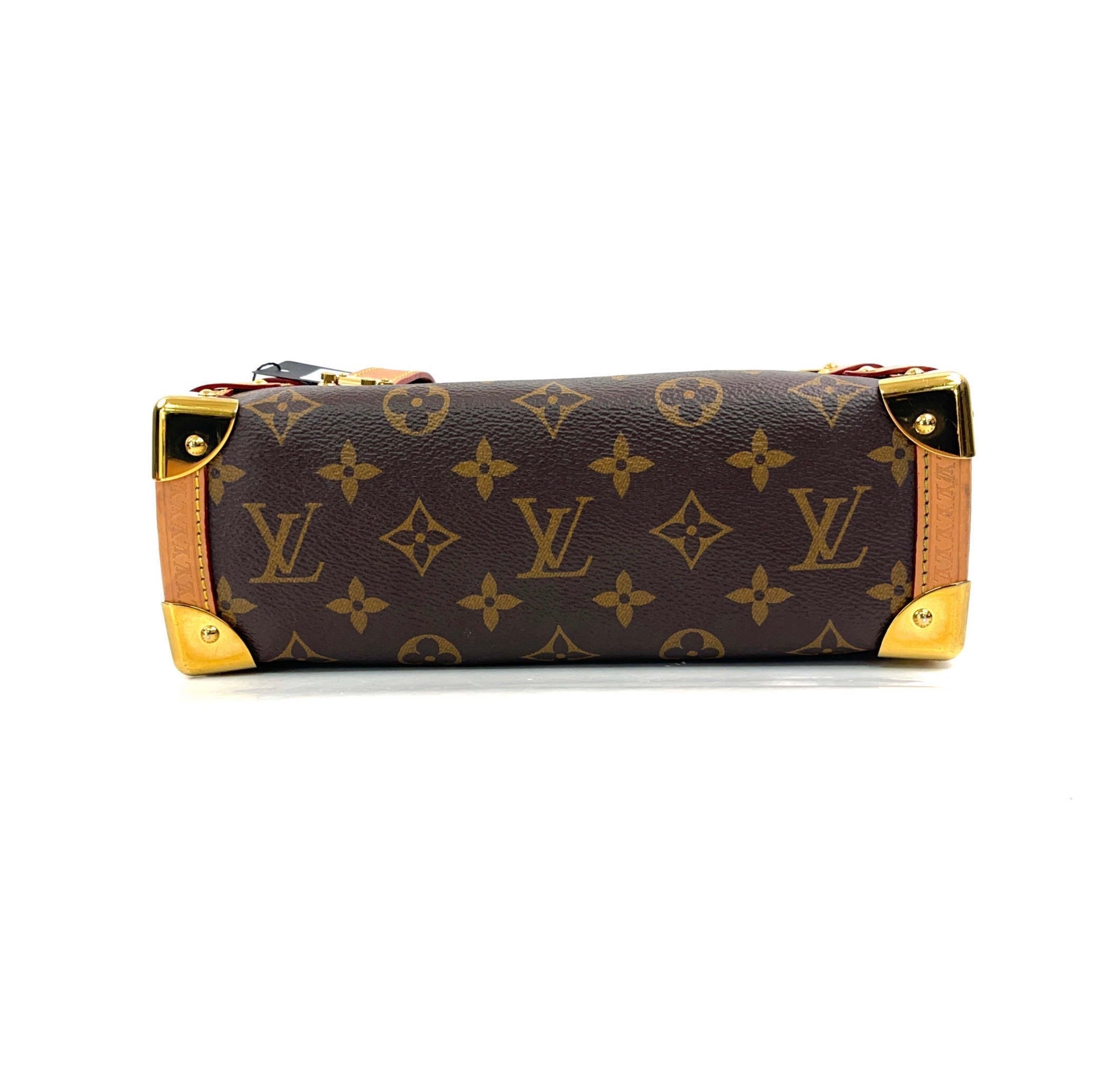 LV Soft trunk Clutch Bag