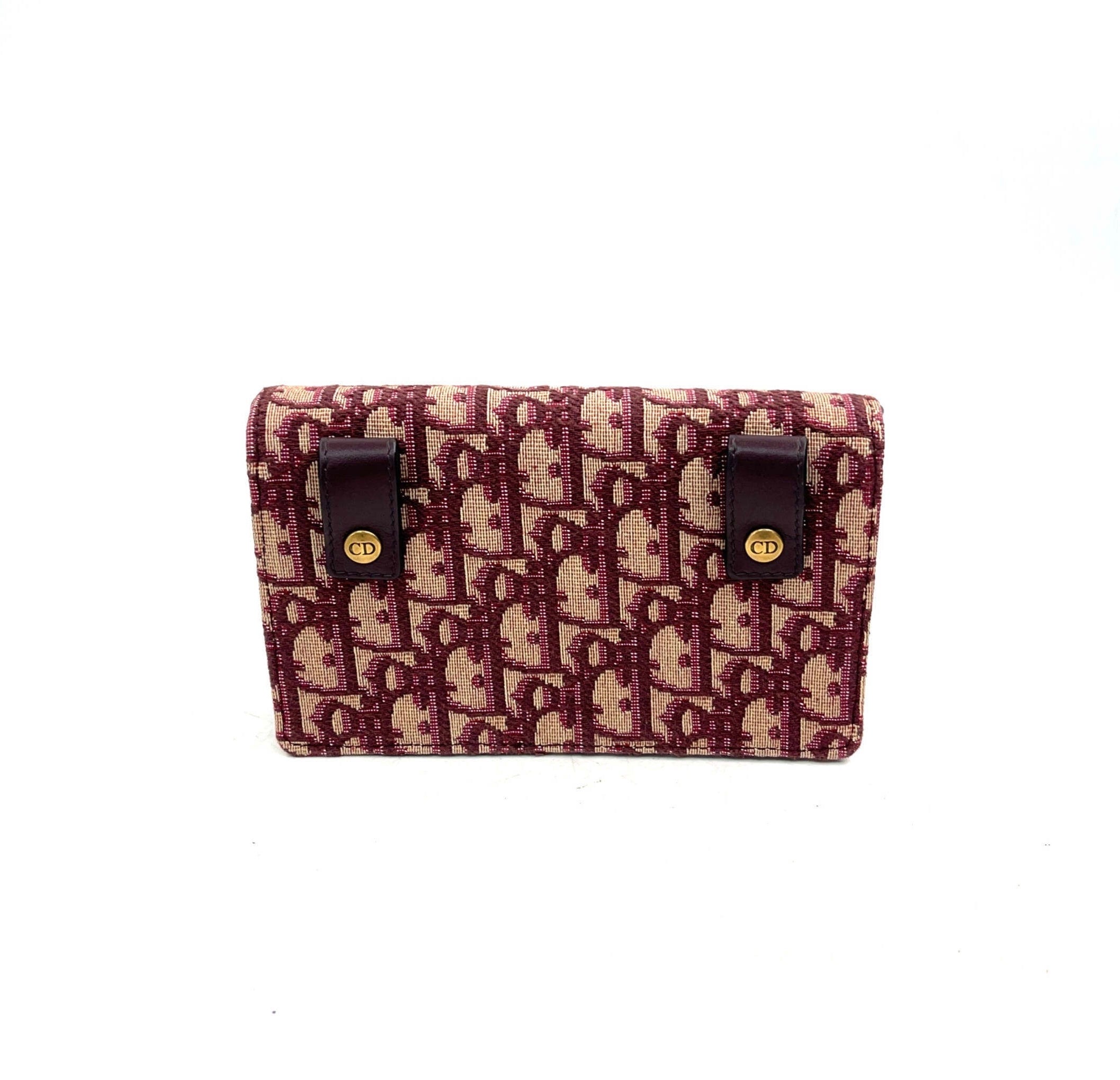 Christian Dior Saddle Pouch