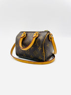 Louis VUitton Nano Speedy