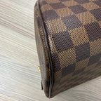 Louis Vuitton (2007) Ribera MM in Damier Ébène Canvas