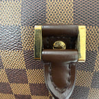 Louis Vuitton (2007) Ribera MM in Damier Ébène Canvas