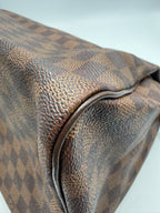 Louis Vuitton Speedy 30 in Damier Ebene Canvas