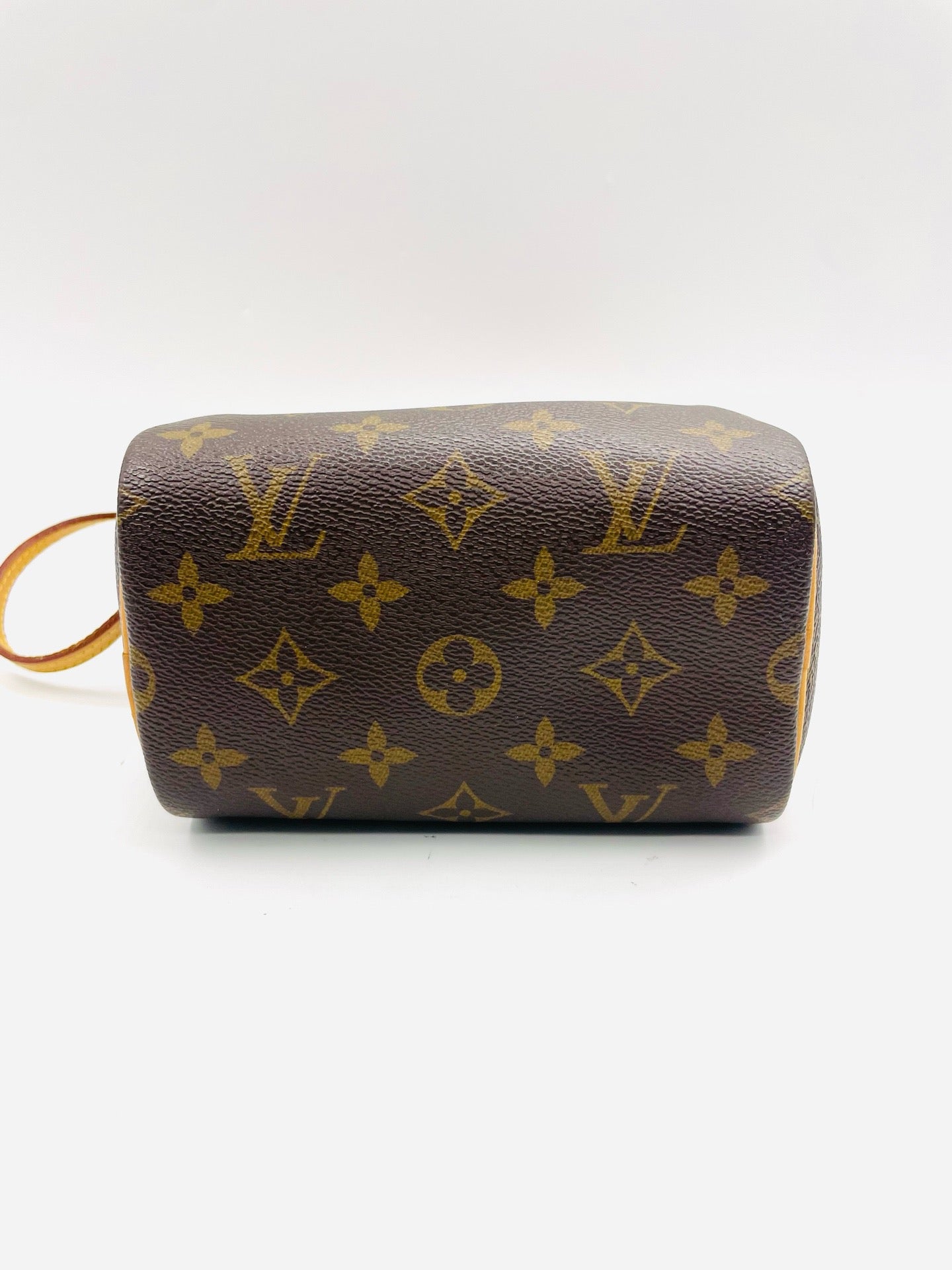 Louis VUitton Nano Speedy