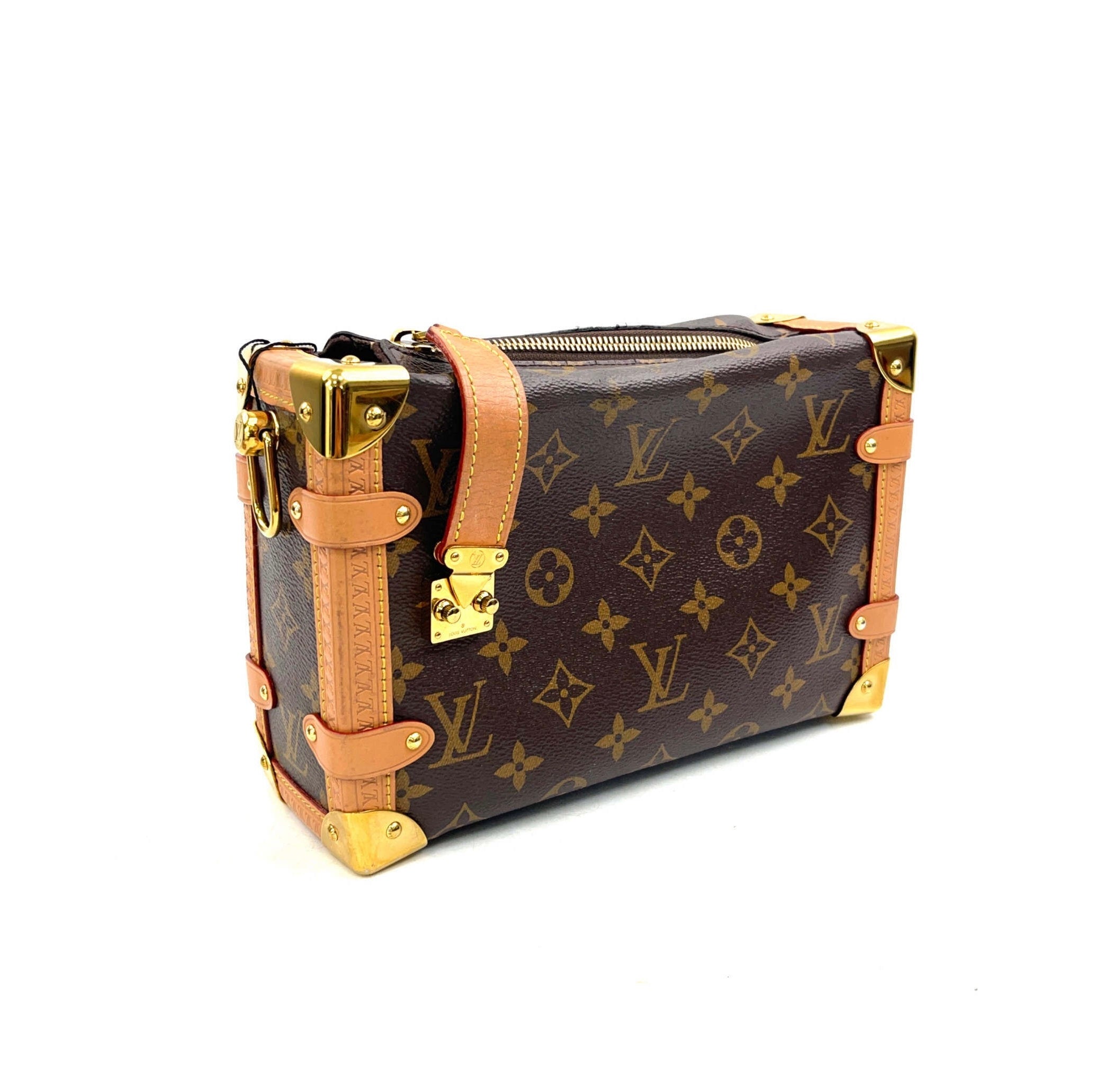 LV Soft trunk Clutch Bag