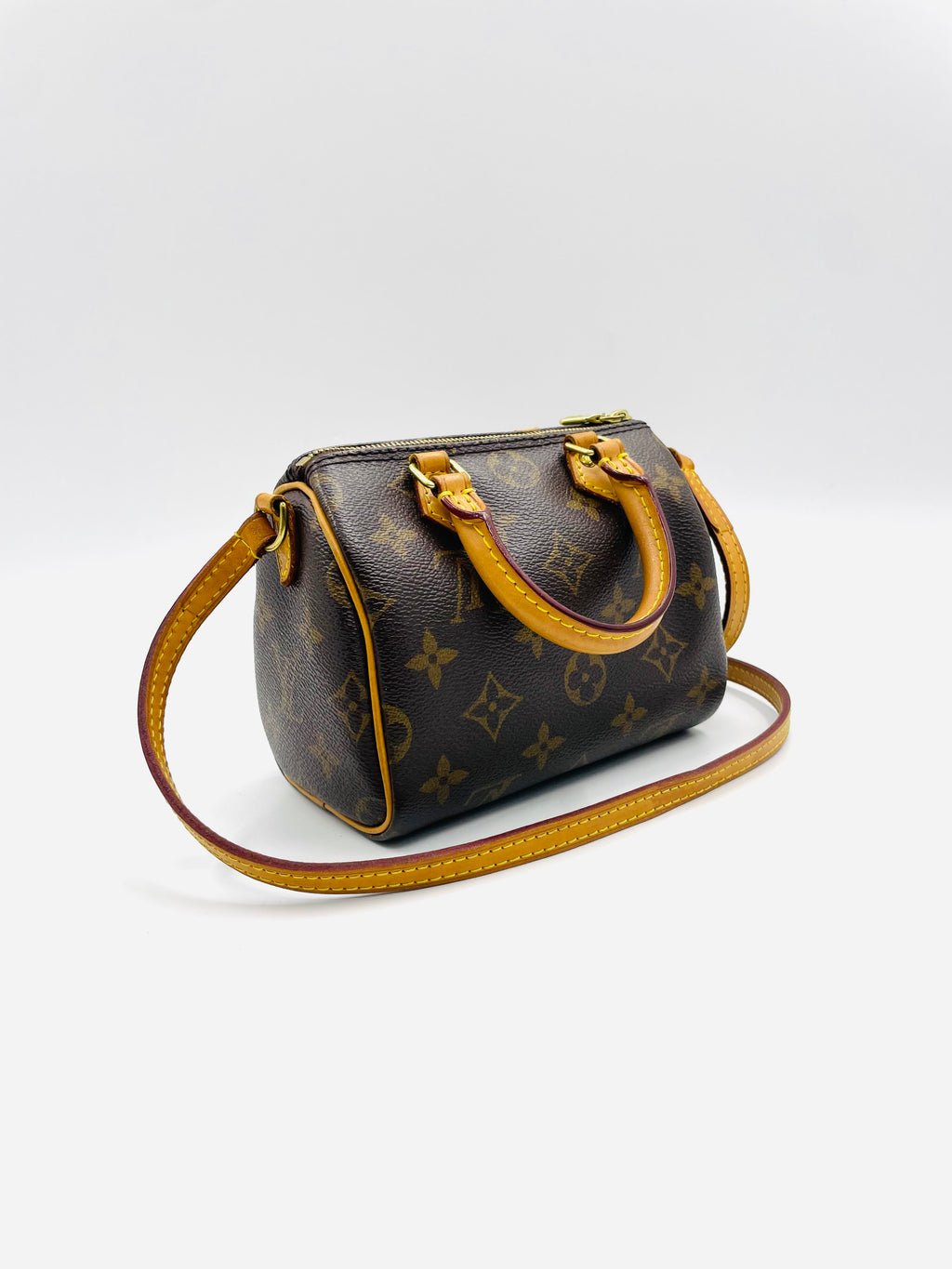 Louis VUitton Nano Speedy