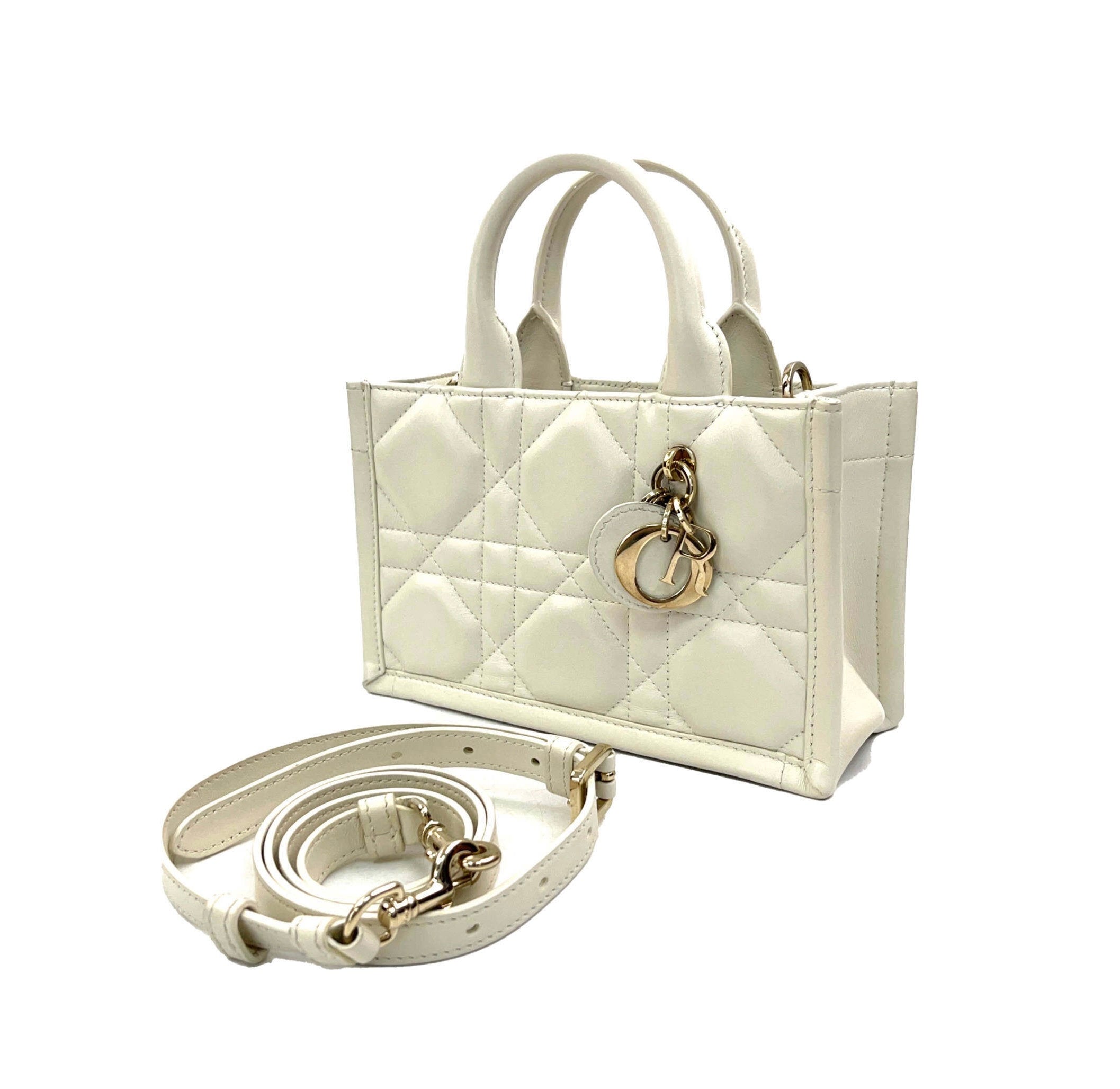 Christian Dior Book Tote Mini