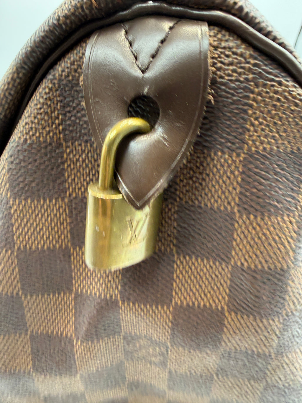 Louis Vuitton Speedy 30 in Damier Ebene Canvas