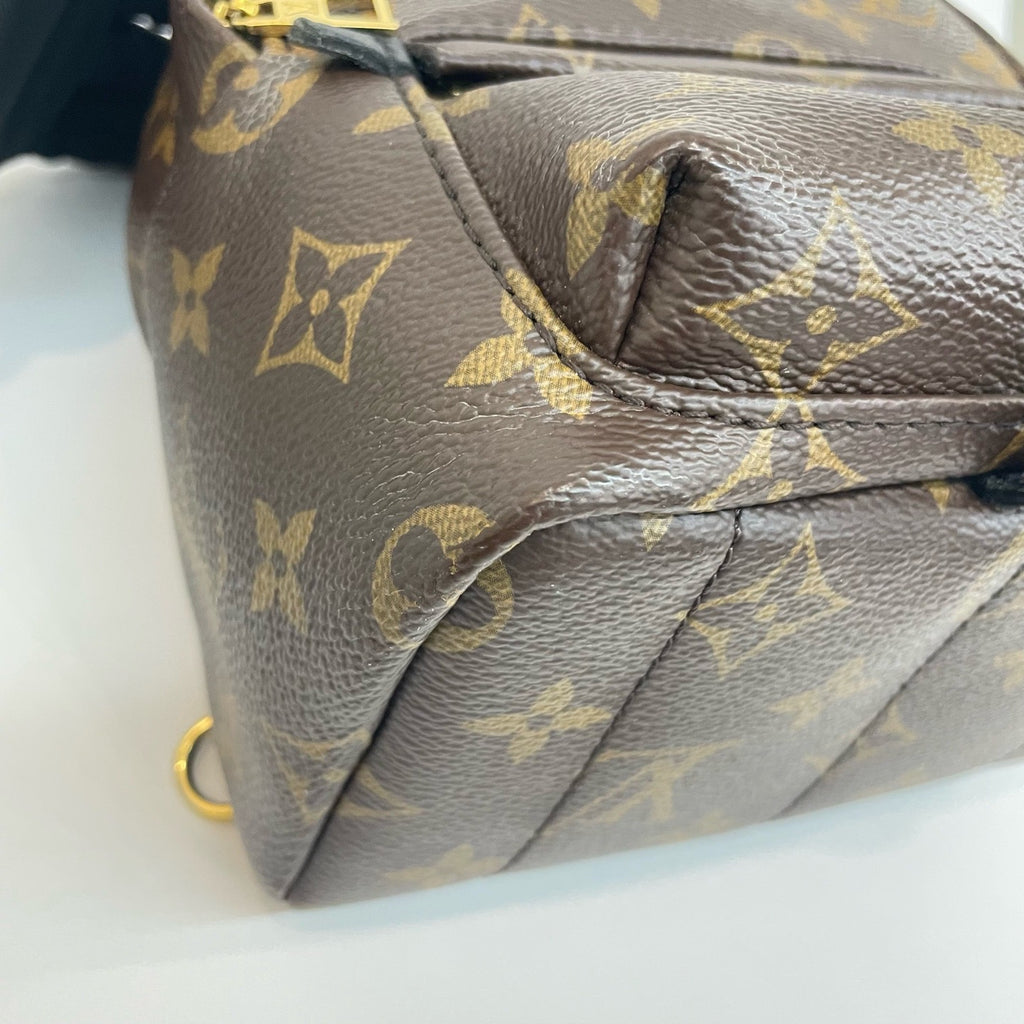 LV Mini Spring Backpack