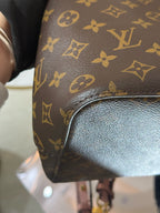 Louis Vuitton Neonoe Bag