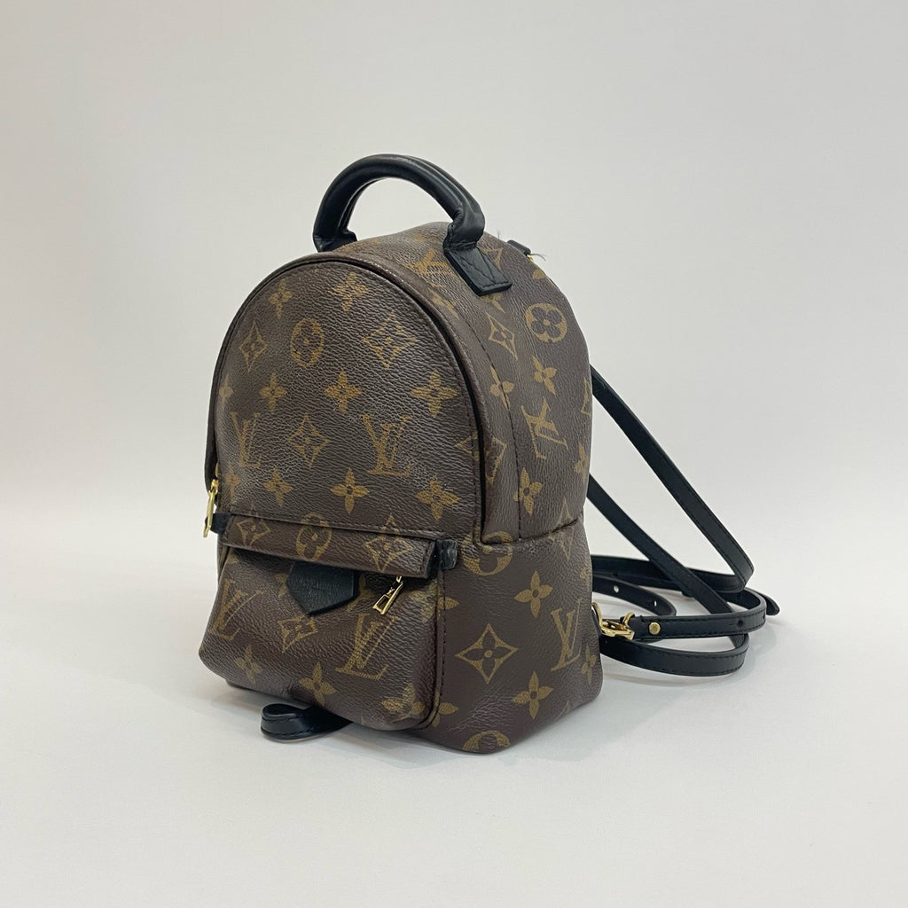 LV Mini Spring Backpack