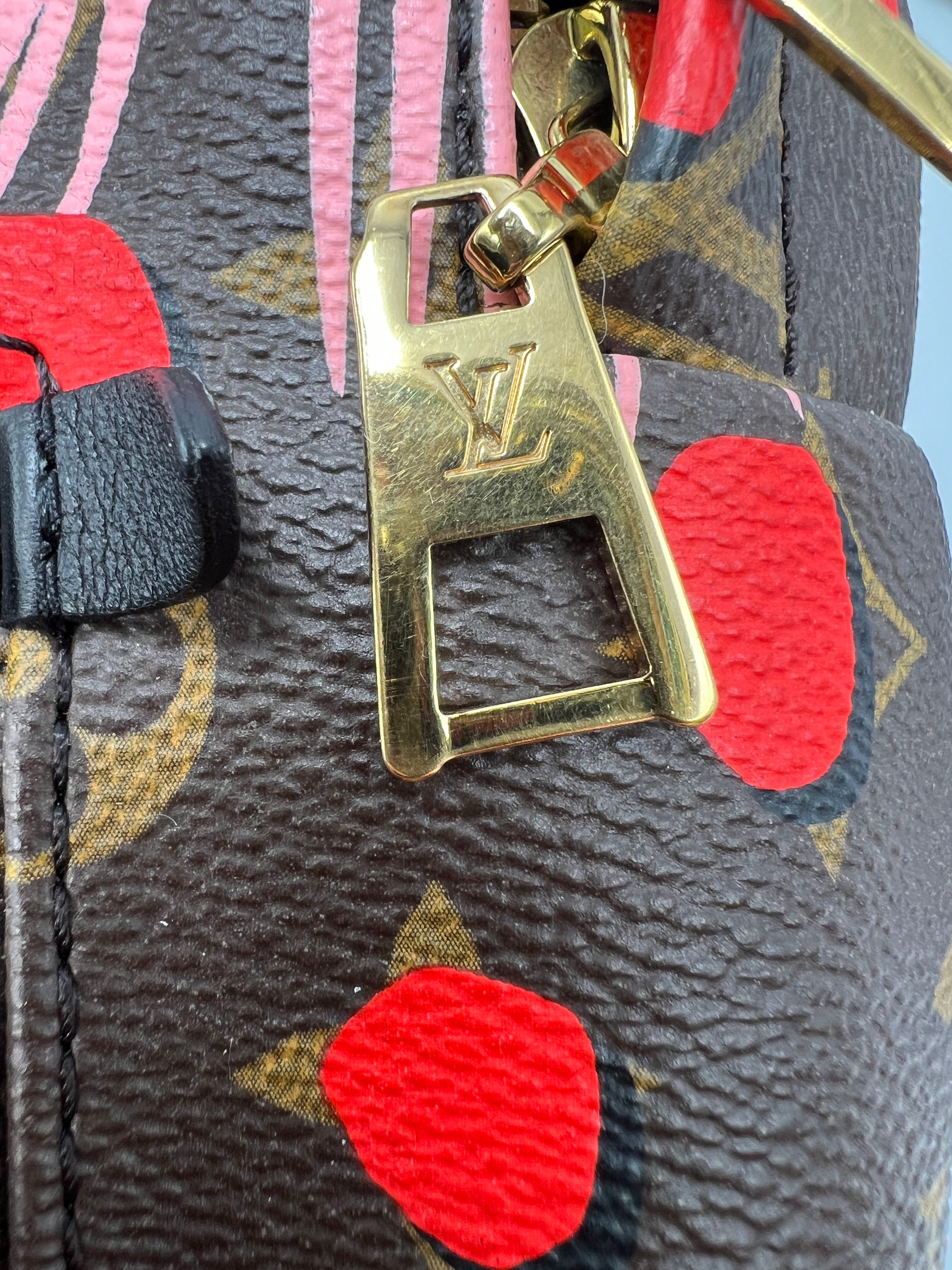 LV Springs Backpack PM