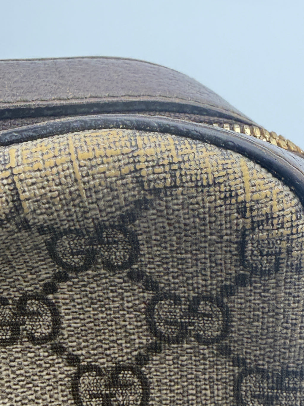 Gucci Neo Classic Feline Head Camera Bag in GG Supreme Canvas