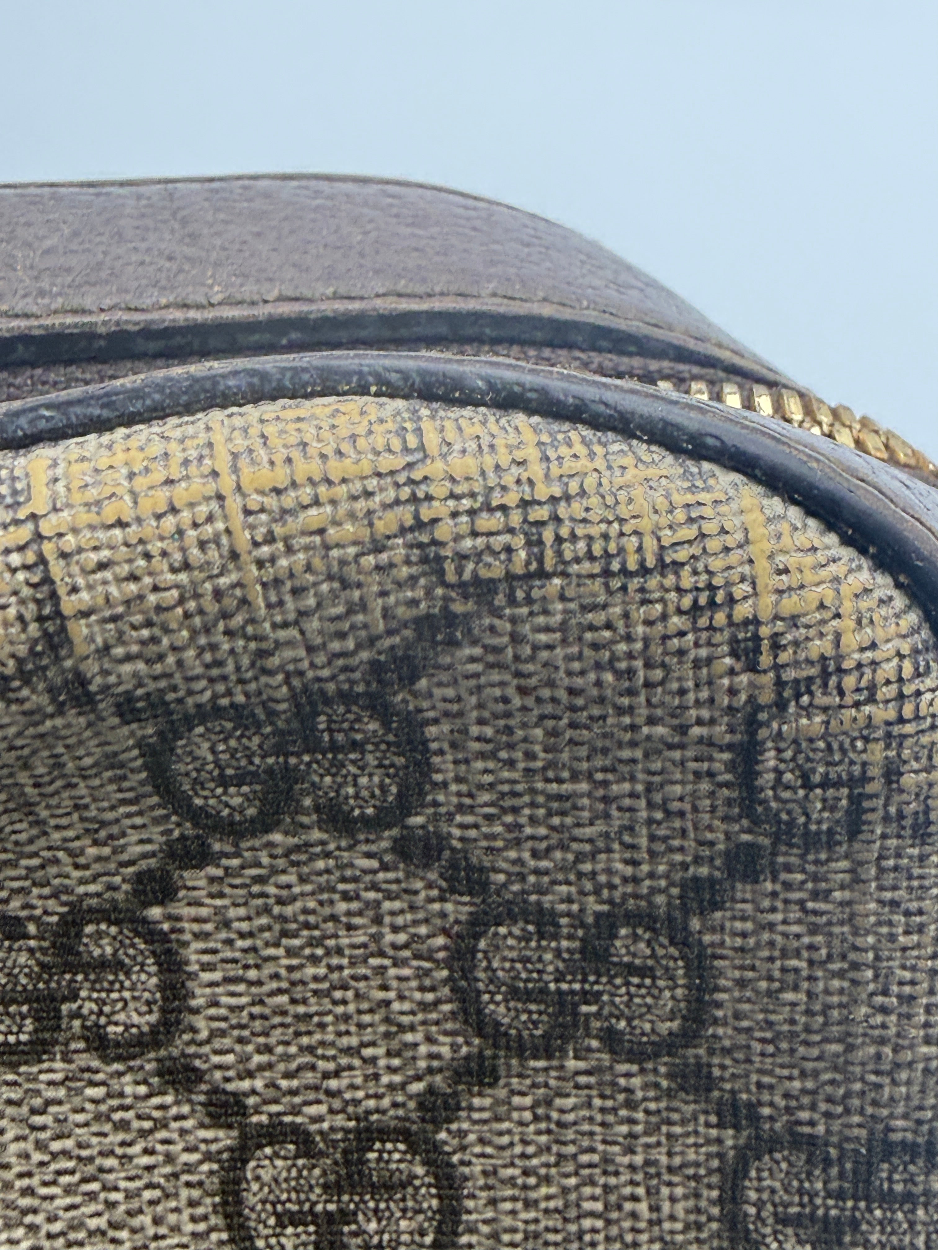 Gucci Neo Classic Feline Head Camera Bag in GG Supreme Canvas