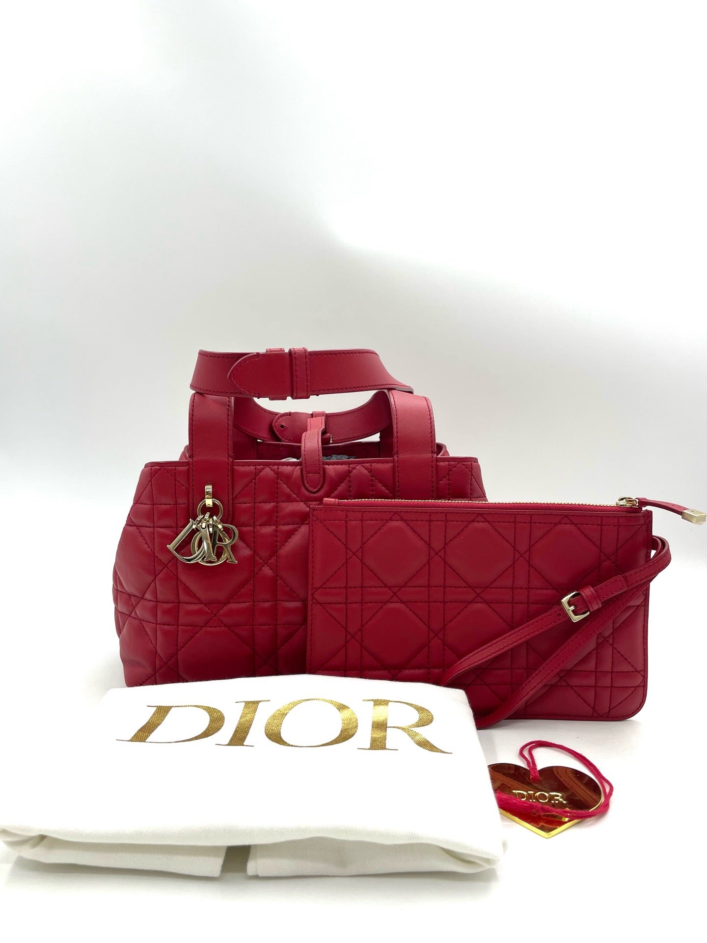 Christian Dior Toujours Bag
