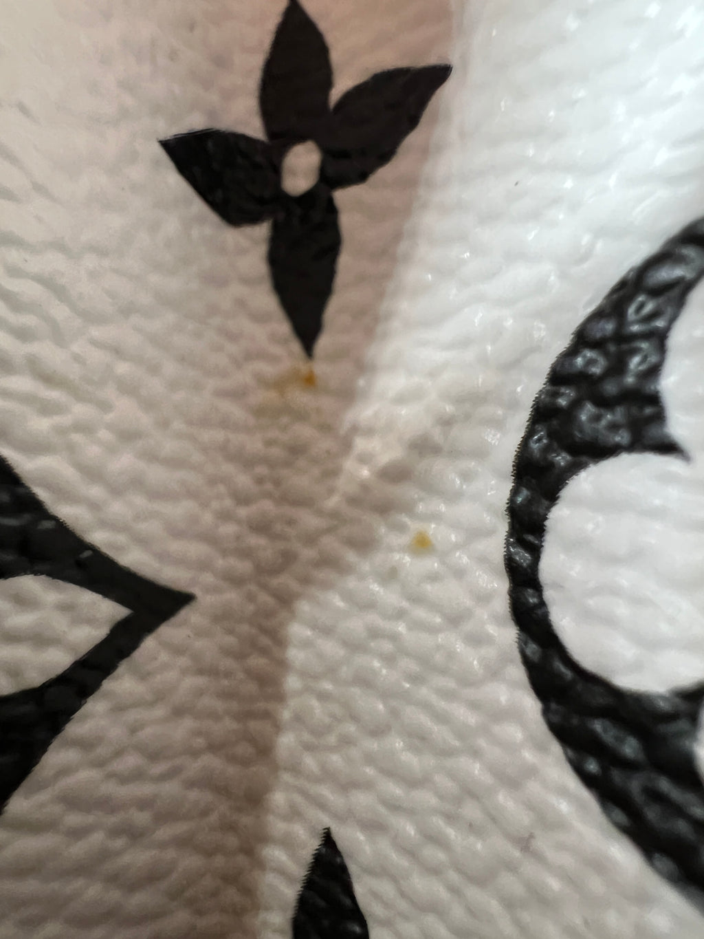 Louis Vuitton Wynwood Vernis