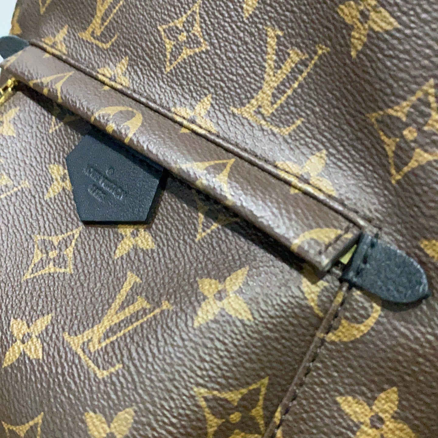 LV Springs Backpack PM