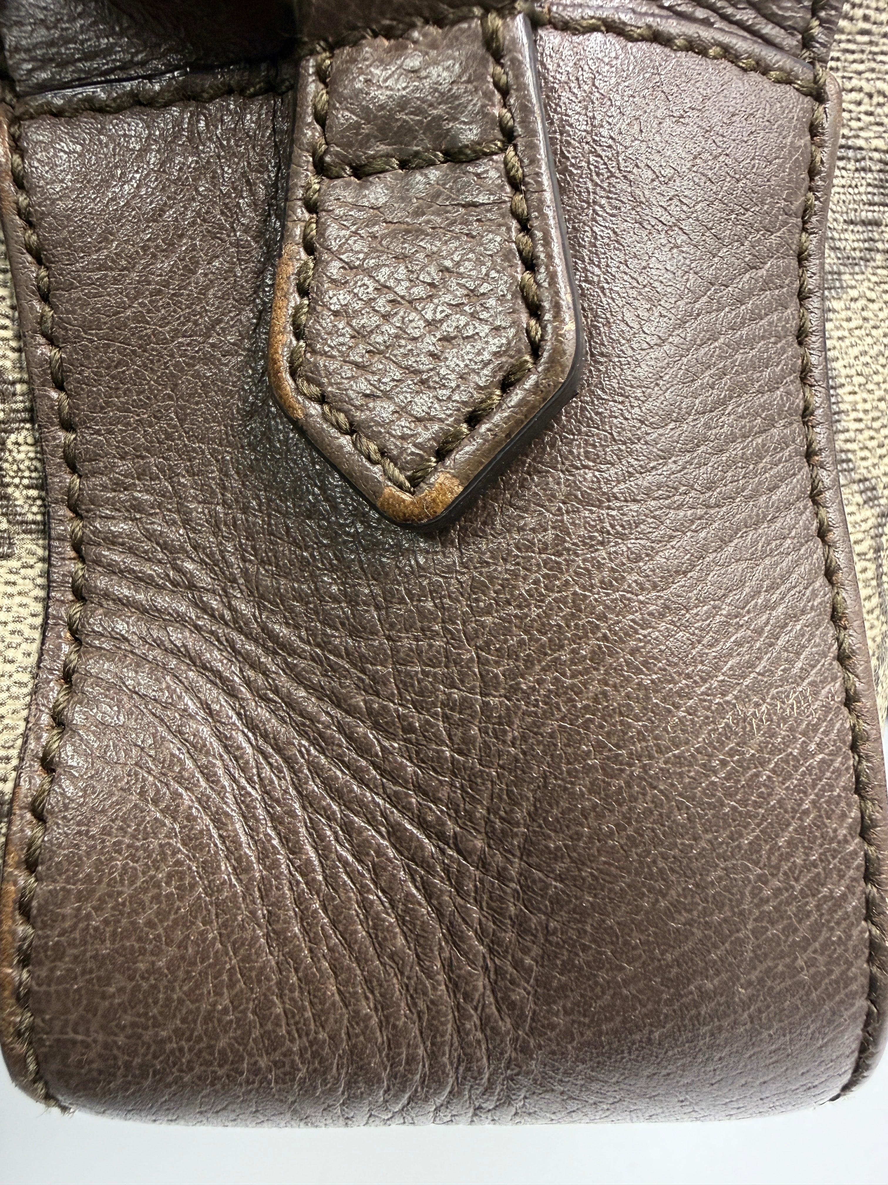 Gucci Neo Classic Feline Head Camera Bag in GG Supreme Canvas