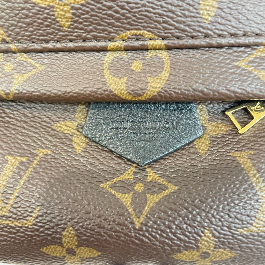 LV Mini Spring Backpack