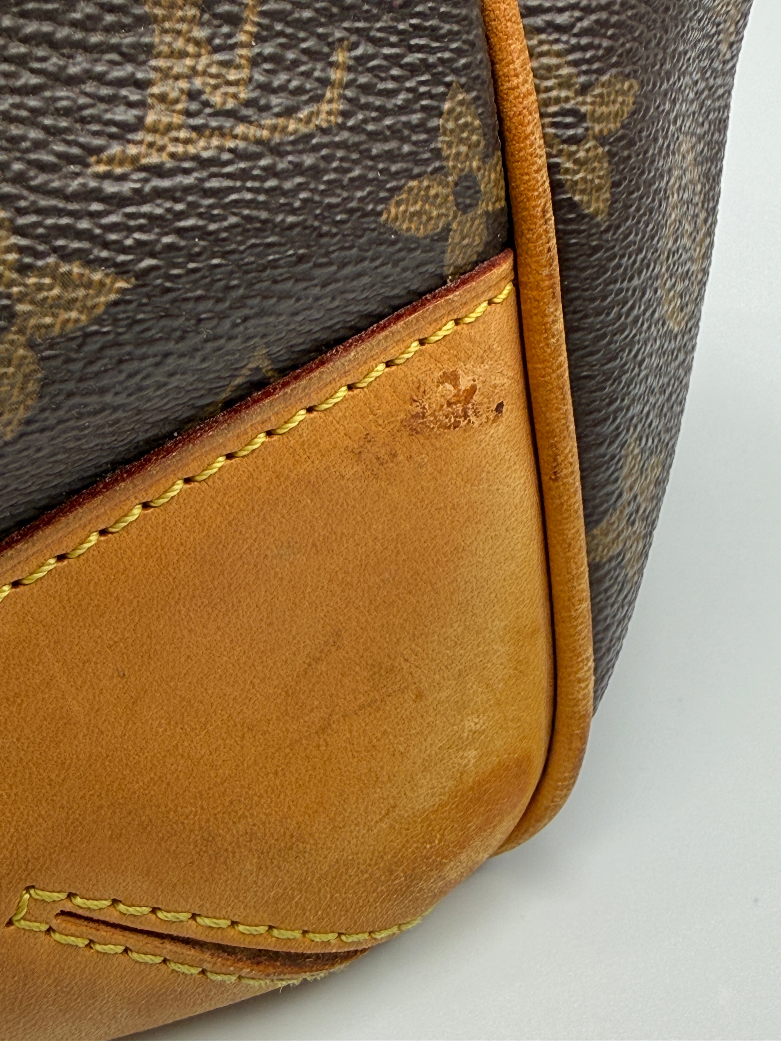 Louis Vuitton Vintage Estrela MM in Monogram Canvas and Vachetta Leather