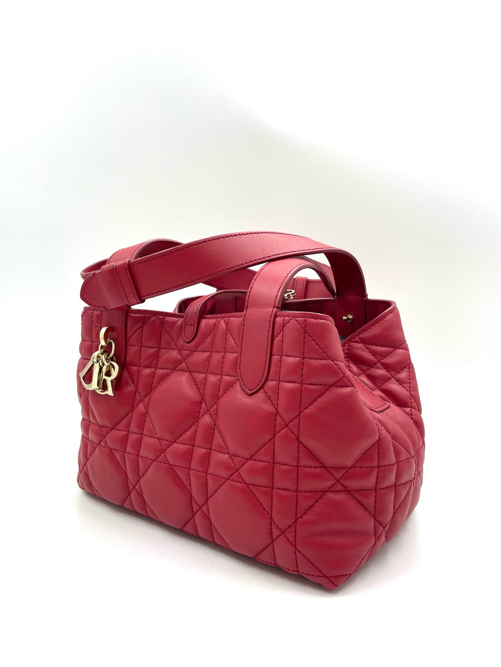 Christian Dior Toujours Bag