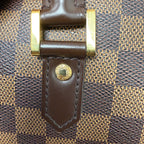 Louis Vuitton (2007) Ribera MM in Damier Ébène Canvas