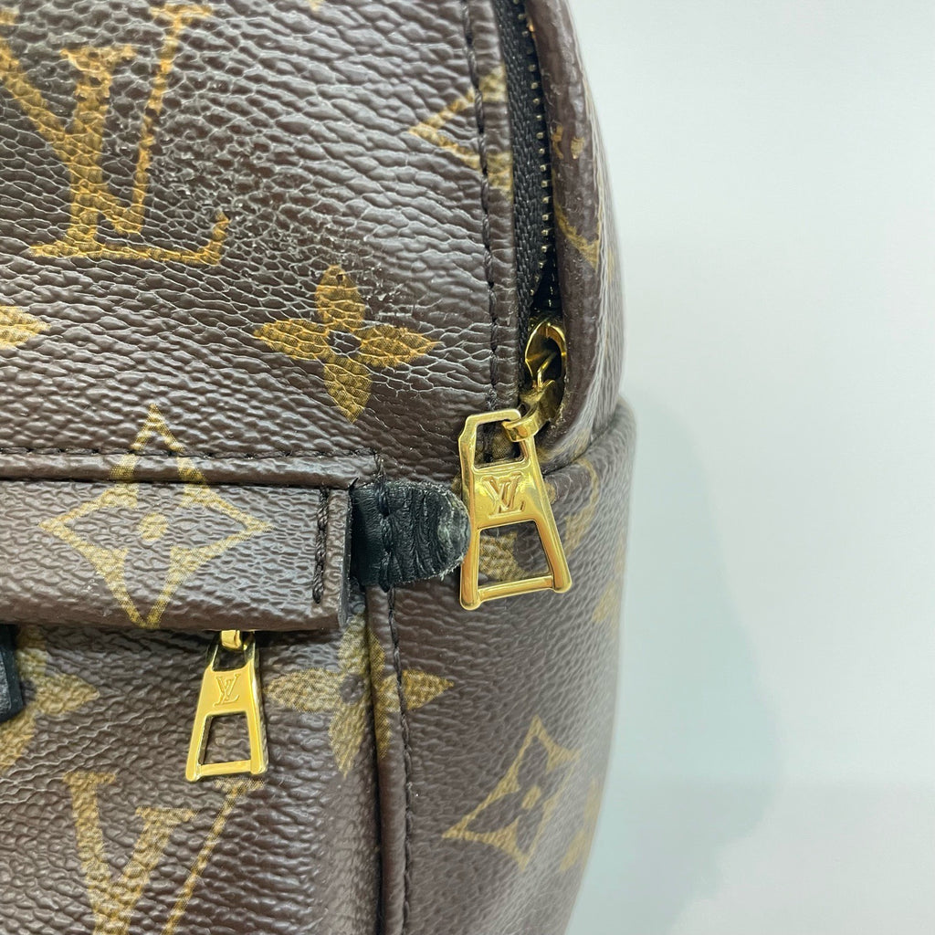 LV Mini Spring Backpack