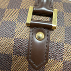 Louis Vuitton (2007) Ribera MM in Damier Ébène Canvas
