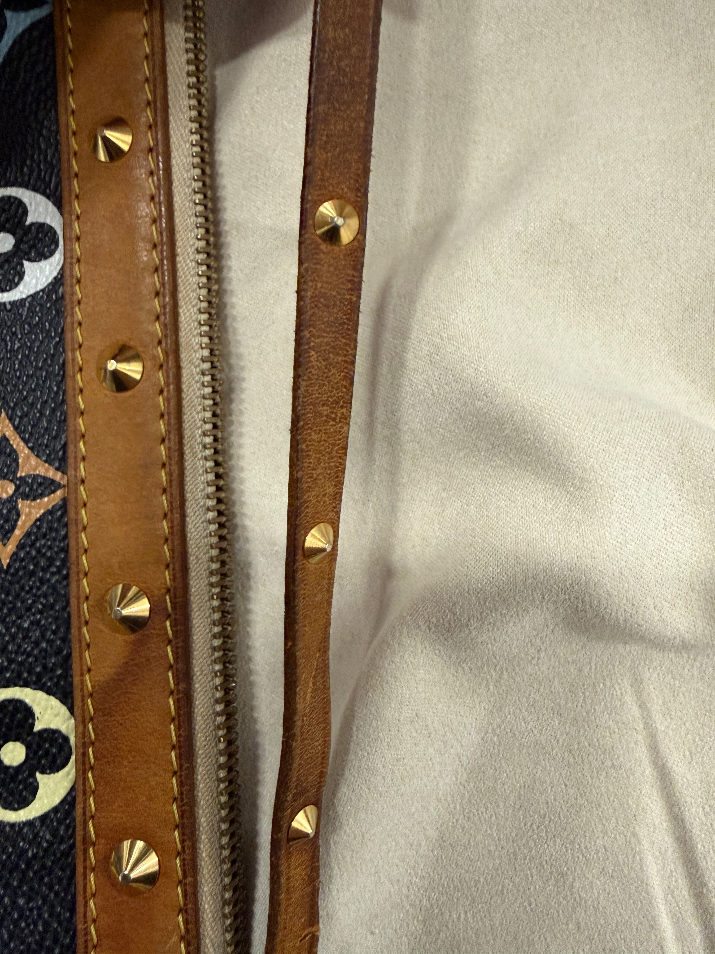 Louis Vuitton Murakami Pochette