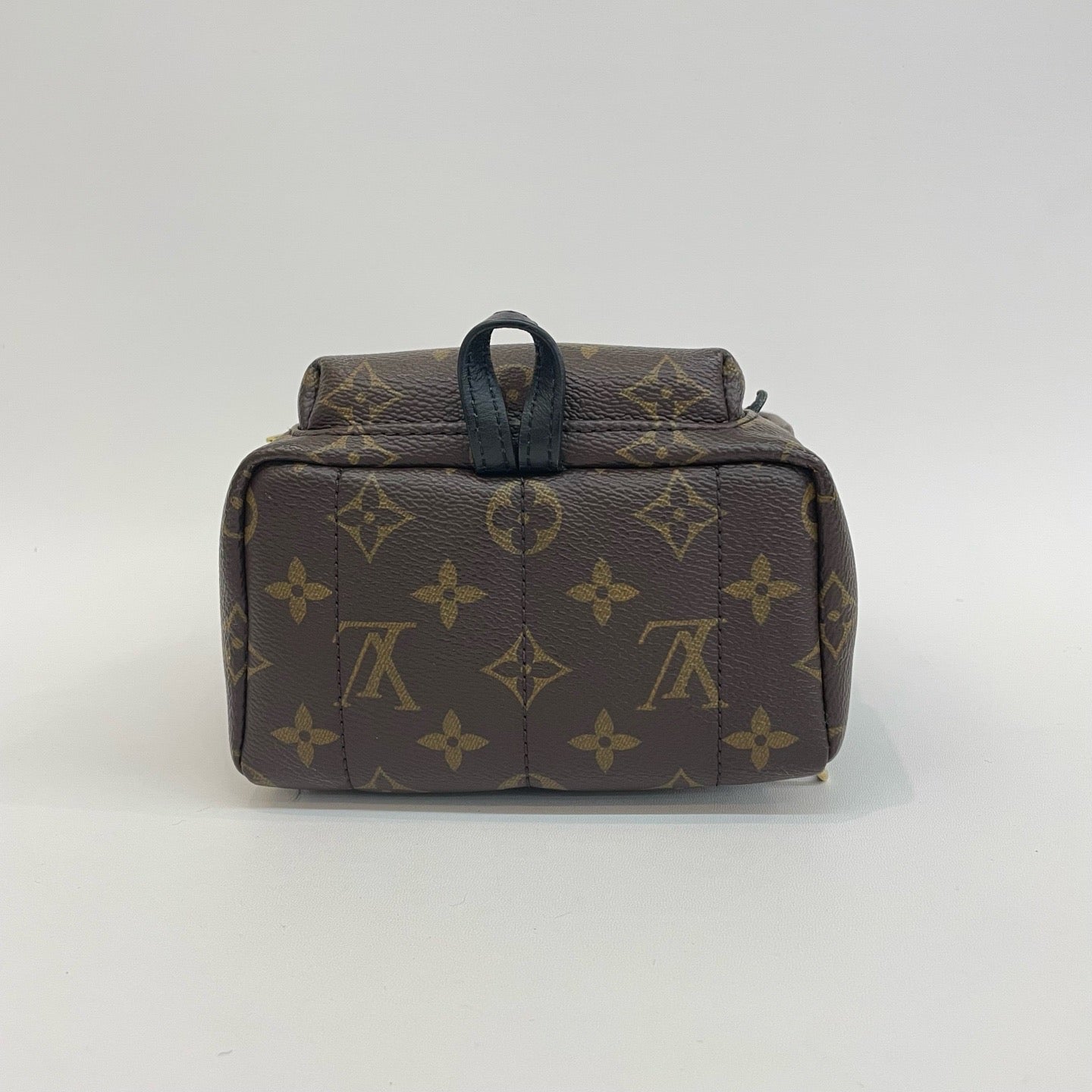 LV Mini Spring Backpack