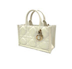 Dior Book Tote Mini Bag