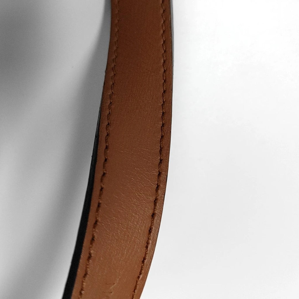 Louis Vuitton Dauphine MM