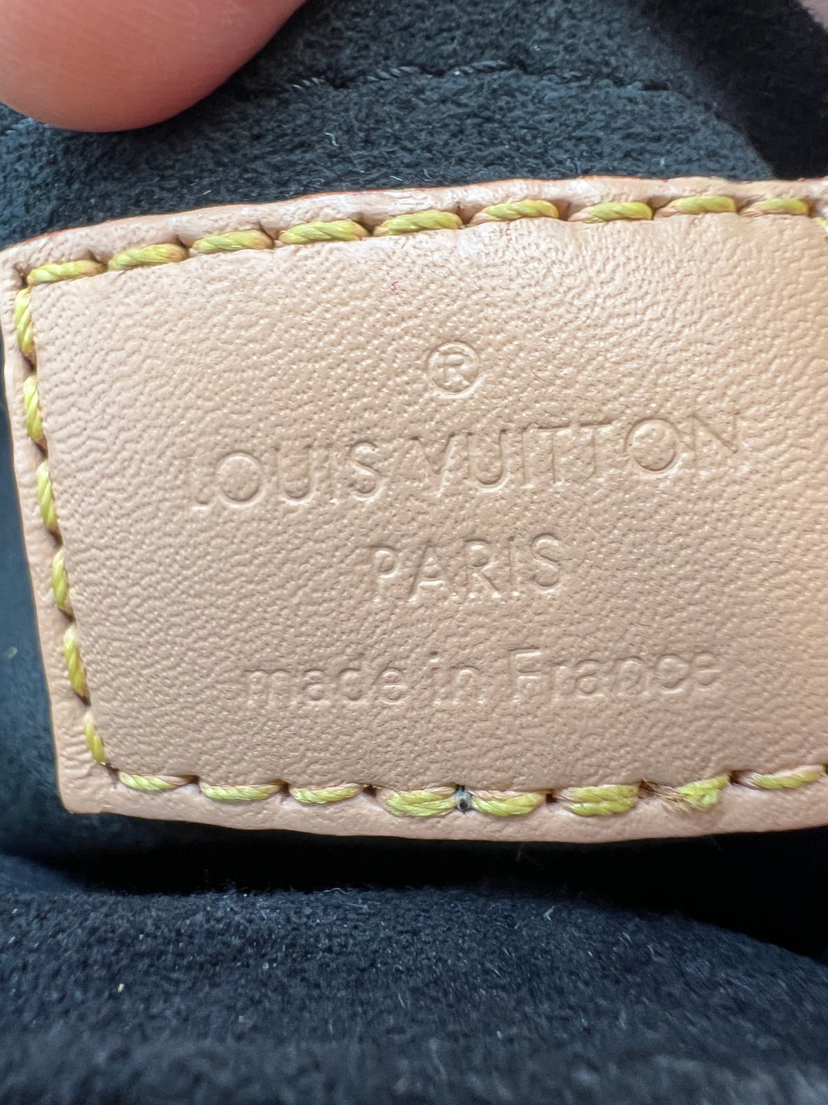 Louis Vuitton Monogram Nano Bucket Bag with Microchip and Adjustable Strap