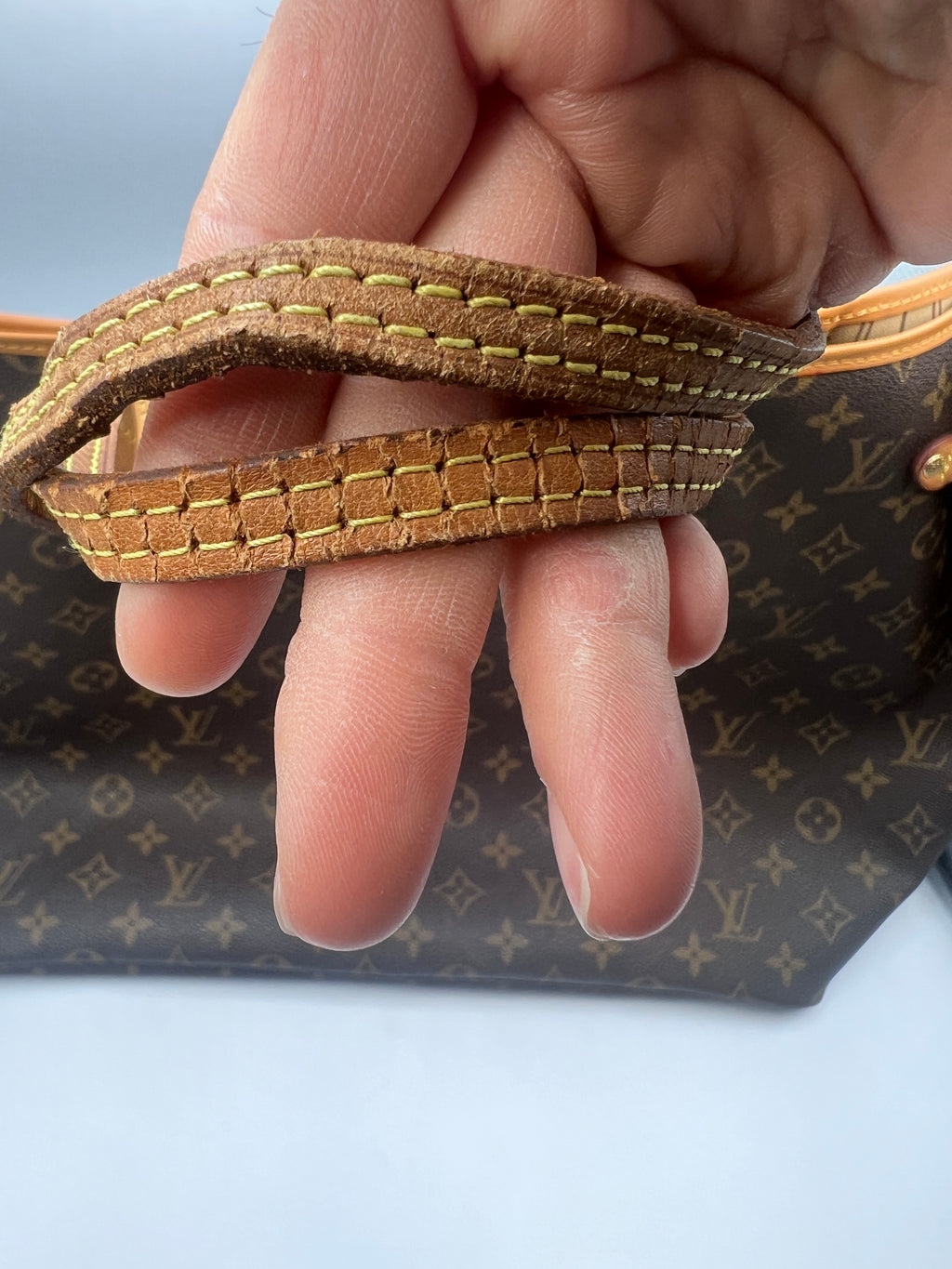 Louis Vuitton Neverfull GM Tote Bag