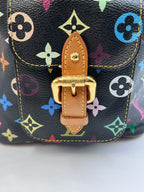 Louis Vuitton Monogram Multicolore Petit Noe Bucket Bag