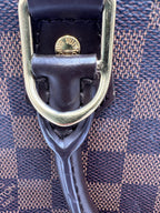 Louis Vuitton Damier Ebene Alma  Bag