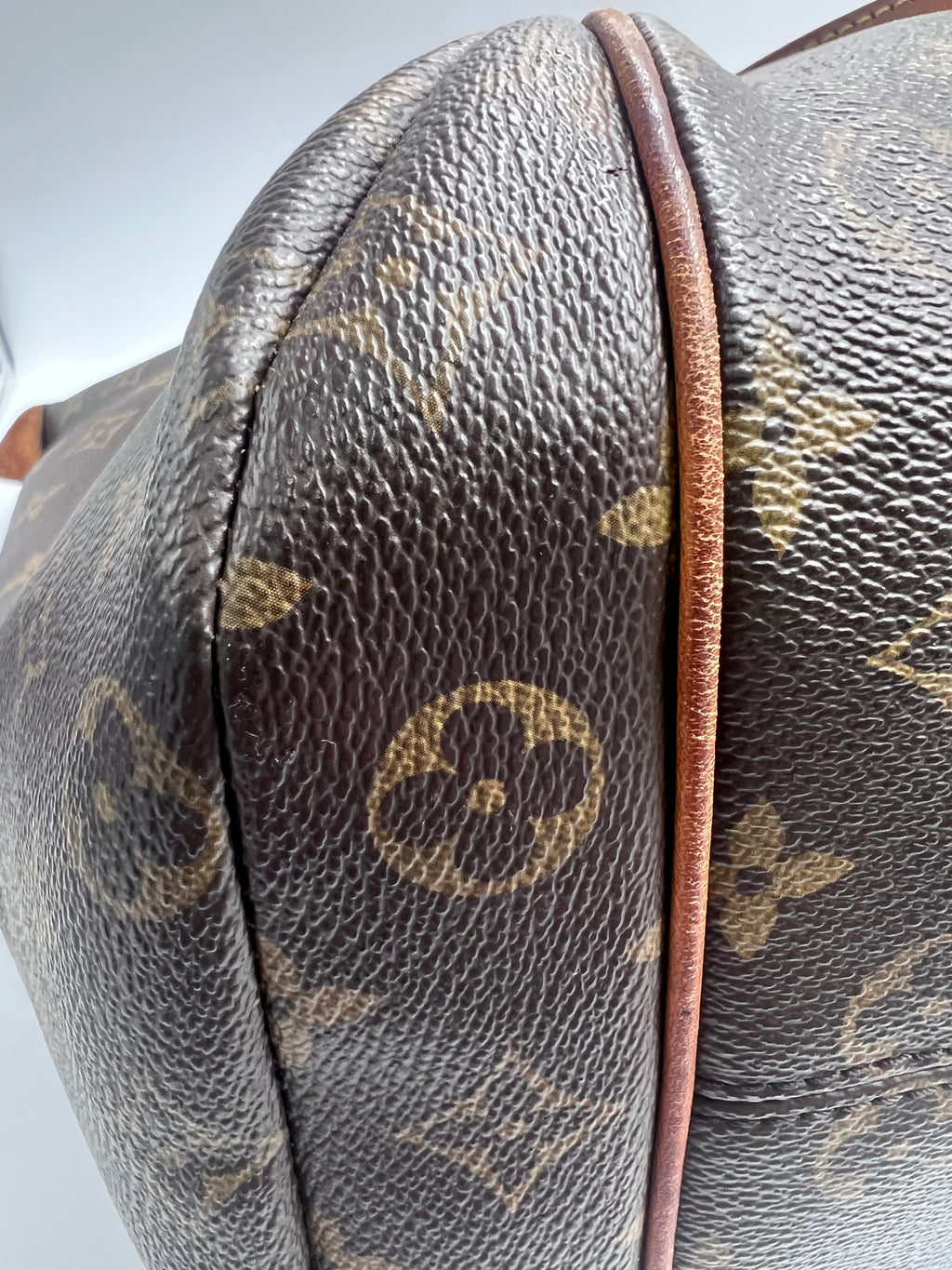Louis Vuitton Monogram Totally MM