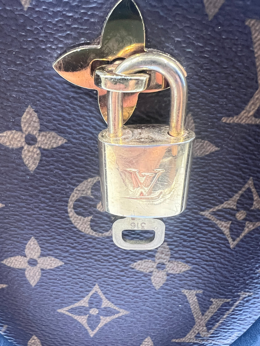 Louis Vuitton Flower Tote Bag