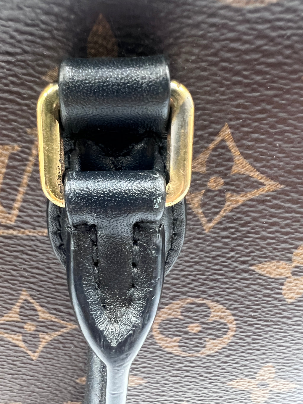 Louis Vuitton Flower Tote Bag