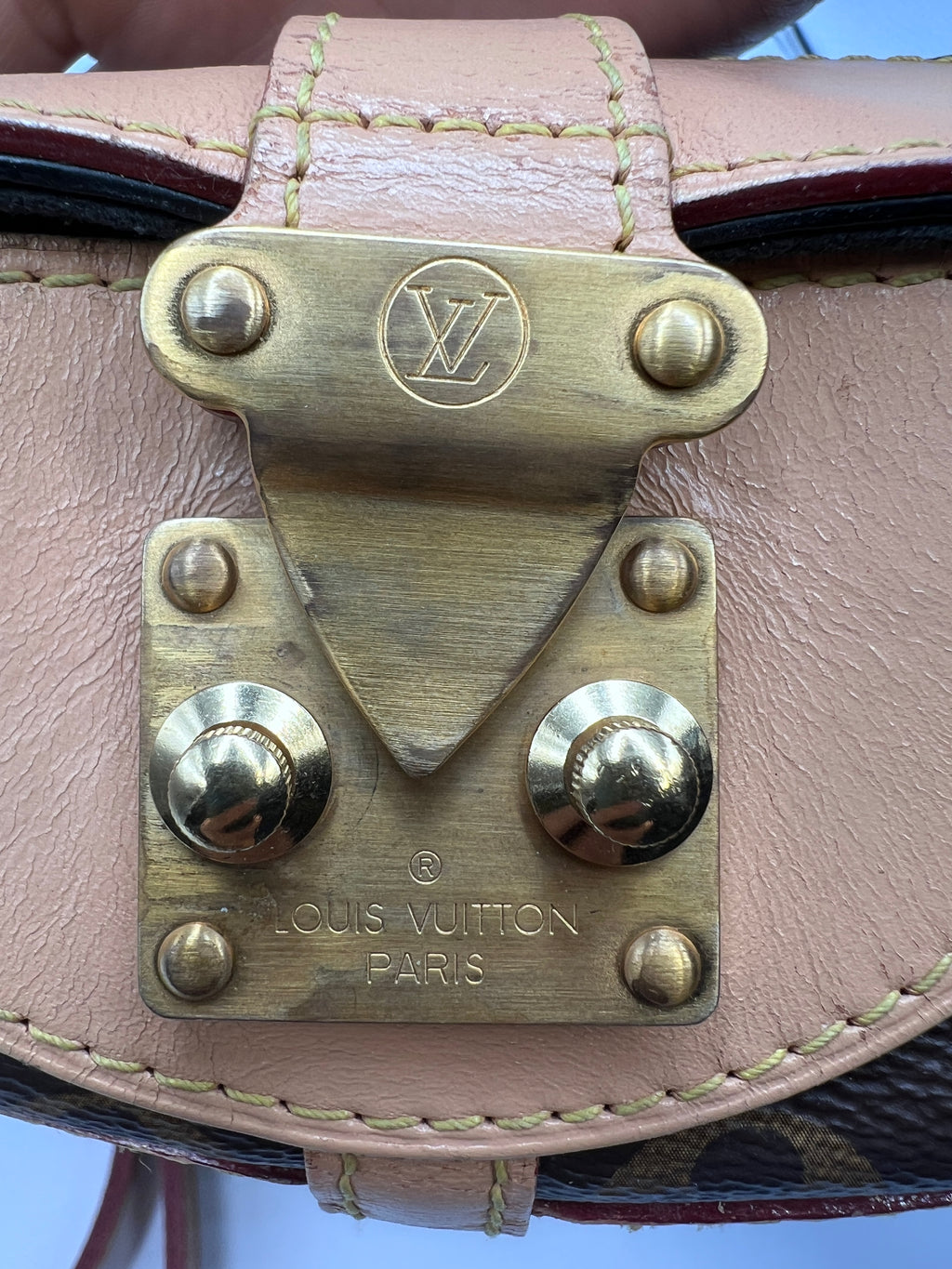 Louis Vuitton Monogram Nano Bucket Bag with Microchip and Adjustable Strap