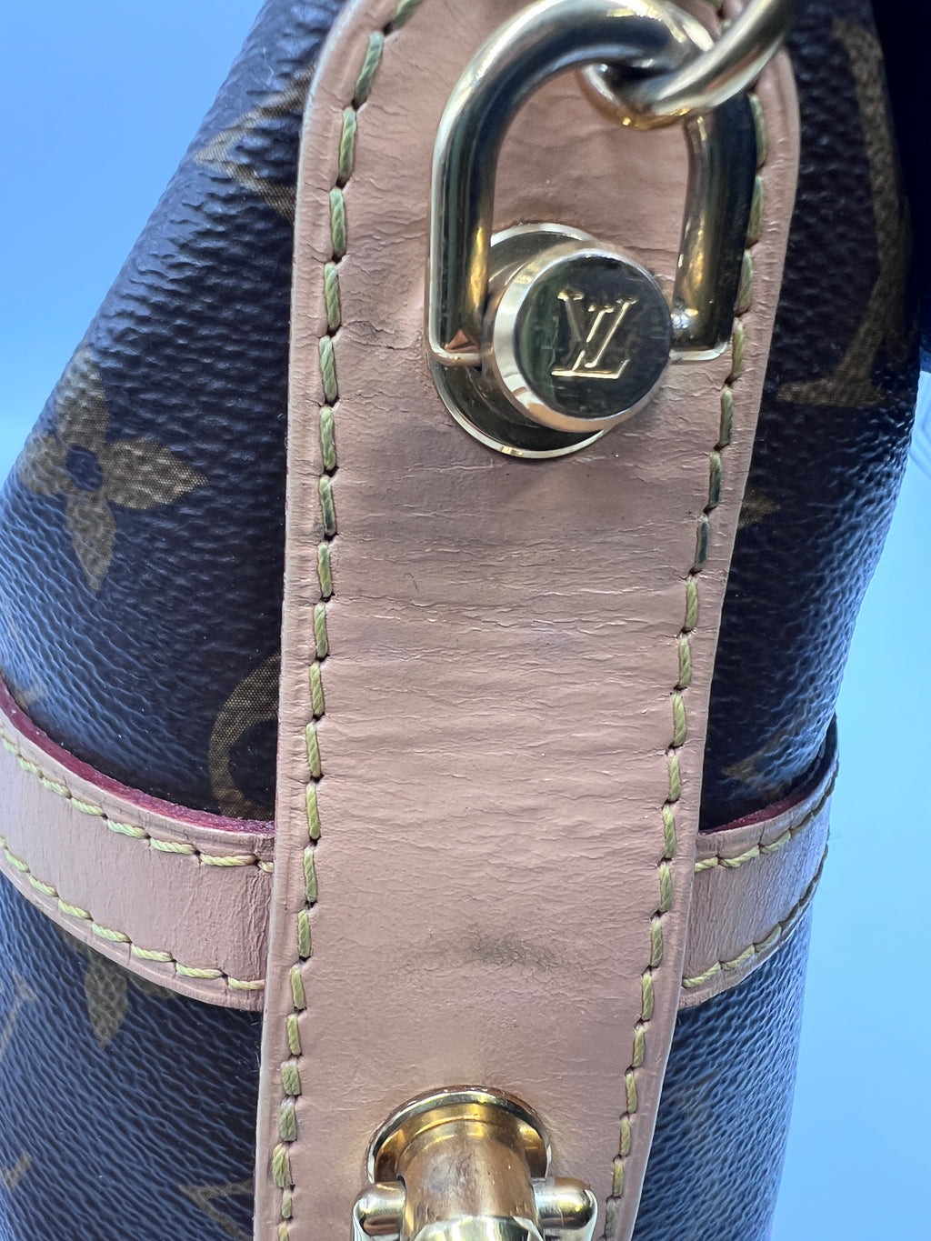 Louis Vuitton Monogram Nano Bucket Bag with Microchip and Adjustable Strap