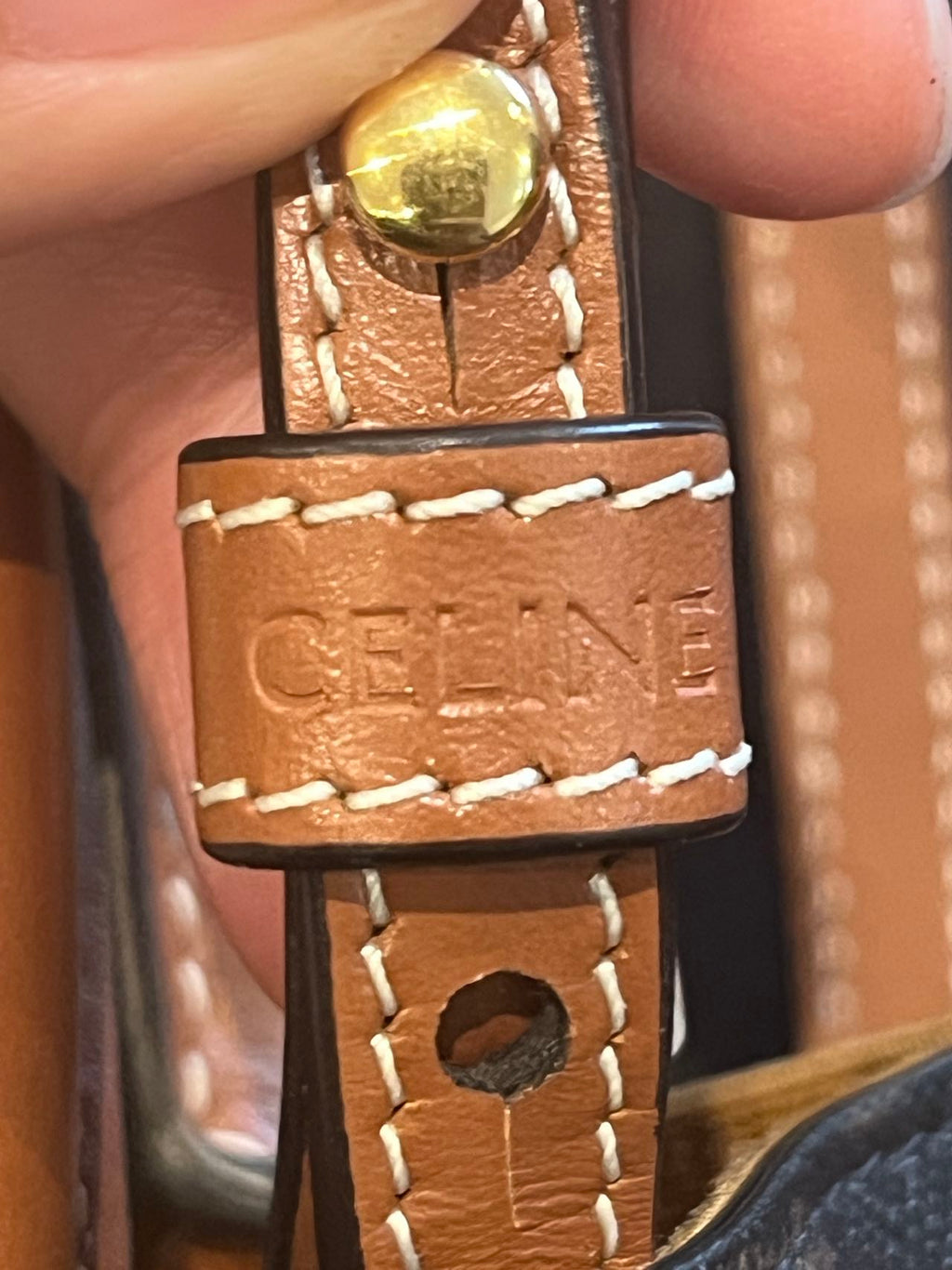 Celine Mini Verticle Tote