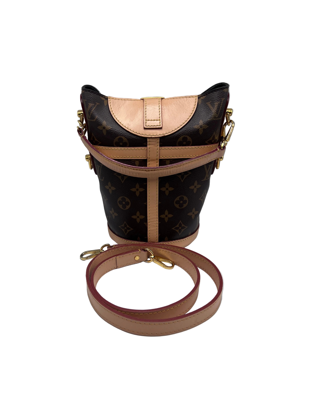 Louis Vuitton Monogram Nano Bucket Bag with Microchip and Adjustable Strap